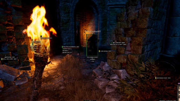 Phoenix Dark and Darker